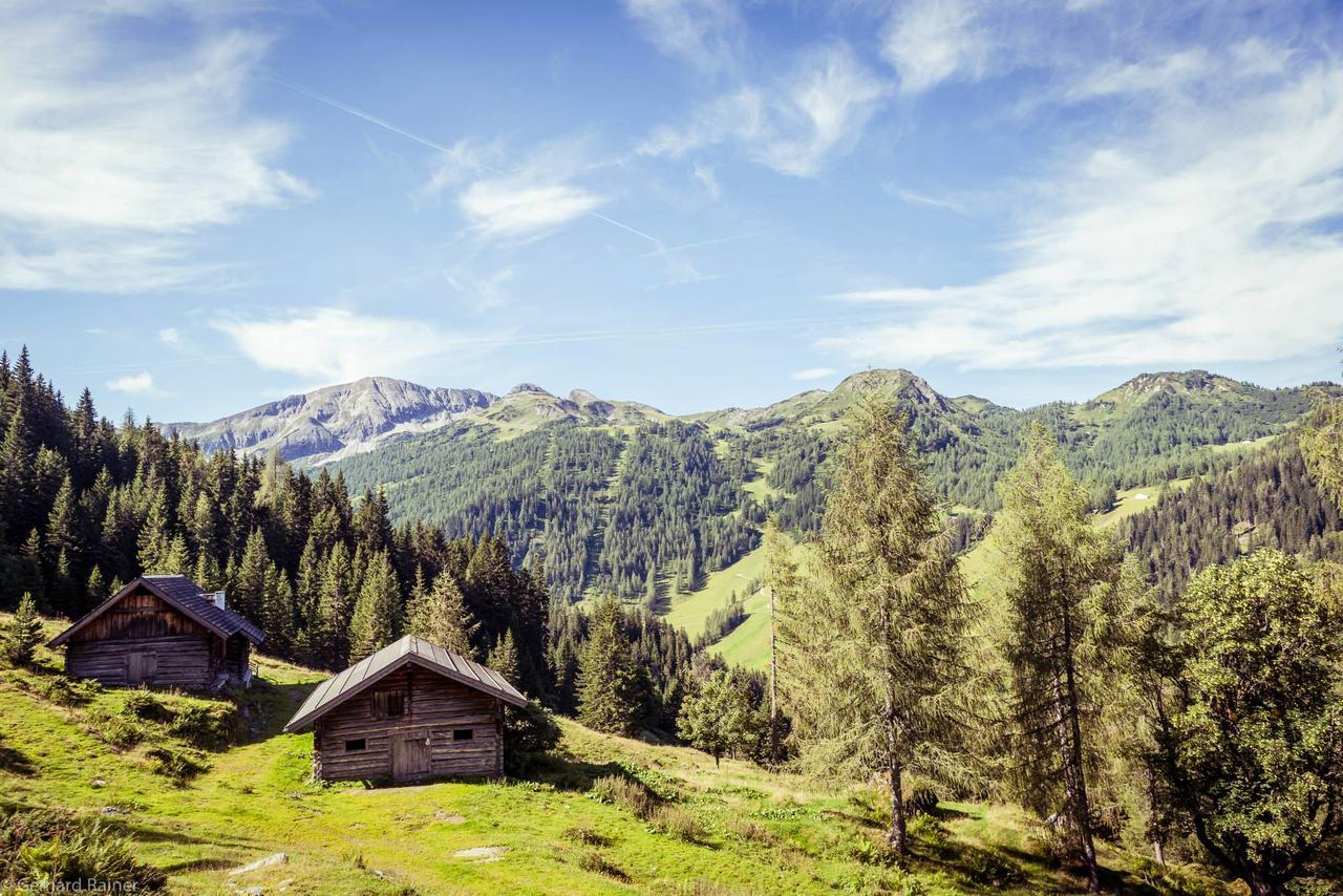 Hotel Alpenrose Zauchensee Bagian luar foto